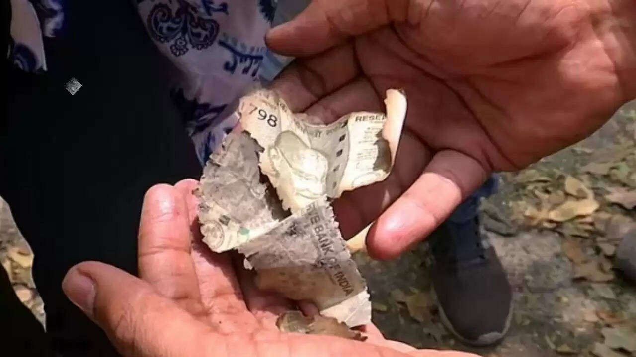 सुप्रीम कोर्ट ने न्यायमूर्ति वर्मा की याचिका पर कड़ी टिप्पणी की, महाभियोग की प्रक्रिया पर उठे सवाल