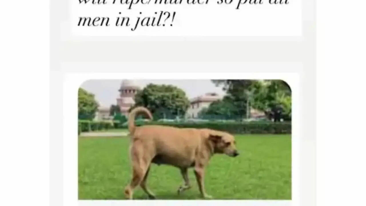 क्या कुत्तों की तुलना में पुरुषों को लेकर विवाद खड़ा कर दिया? दिव्या स्पंदना का बयान चर्चा में