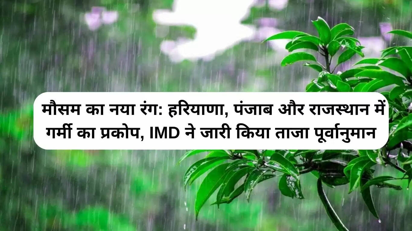 मौसम अपडेट: हरियाणा, पंजाब और राजस्थान में गर्मी की लहर