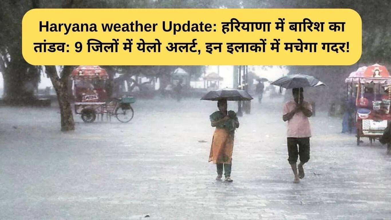 हरियाणा में बारिश का अलर्ट: 9 जिलों में येलो चेतावनी जारी