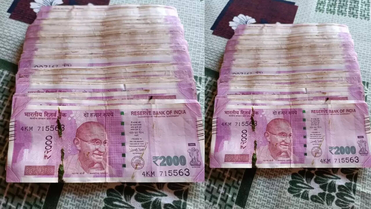 दिवाली सफाई में मिला छुपा खजाना: परिवार ने पुराने DTH बॉक्स में पाए 2 लाख रुपये