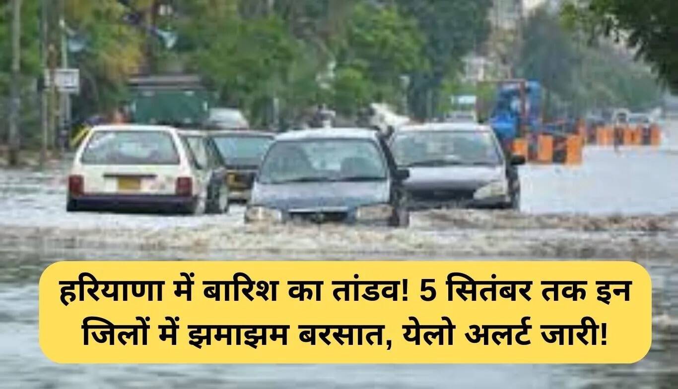 हरियाणा में बारिश का कहर: 5 सितंबर तक भारी बारिश का अलर्ट