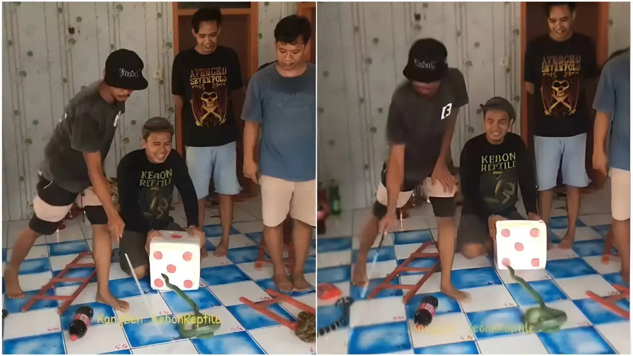 खतरनाक सांप सीढ़ी खेल: सोशल मीडिया पर वायरल वीडियो ने मचाई हलचल