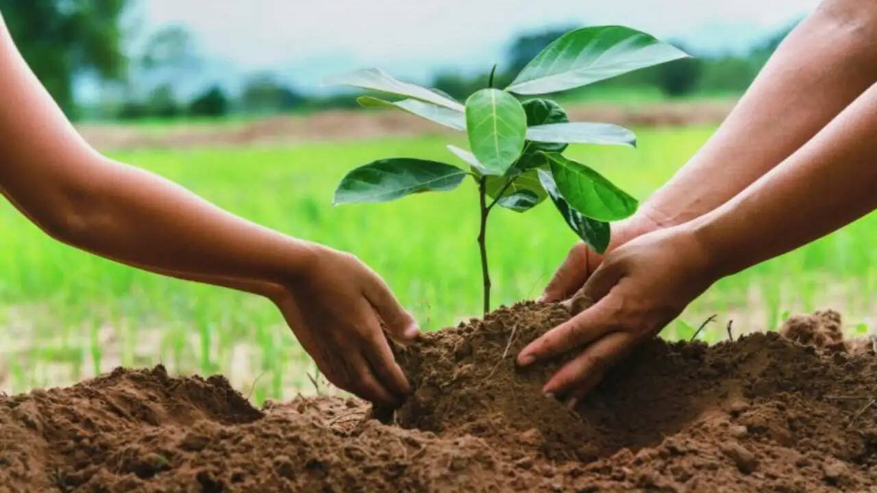 चंडीगढ़ में मानसून के दौरान पौधारोपण अभियान की नई पहल