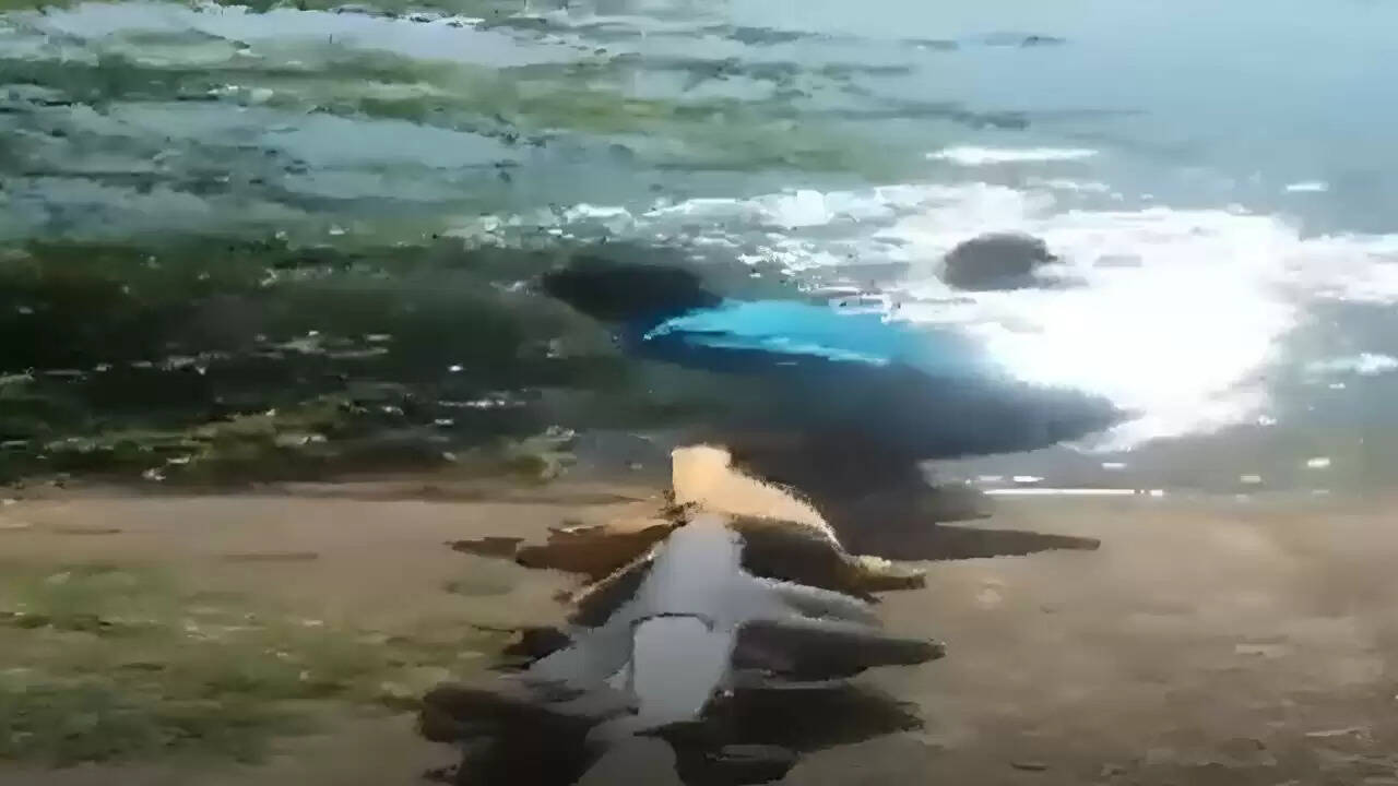 मध्य प्रदेश में युवकों ने डूबती लड़की की जान बचाई