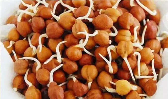 सुबह खाली पेट चना खाने के स्वास्थ्य लाभ