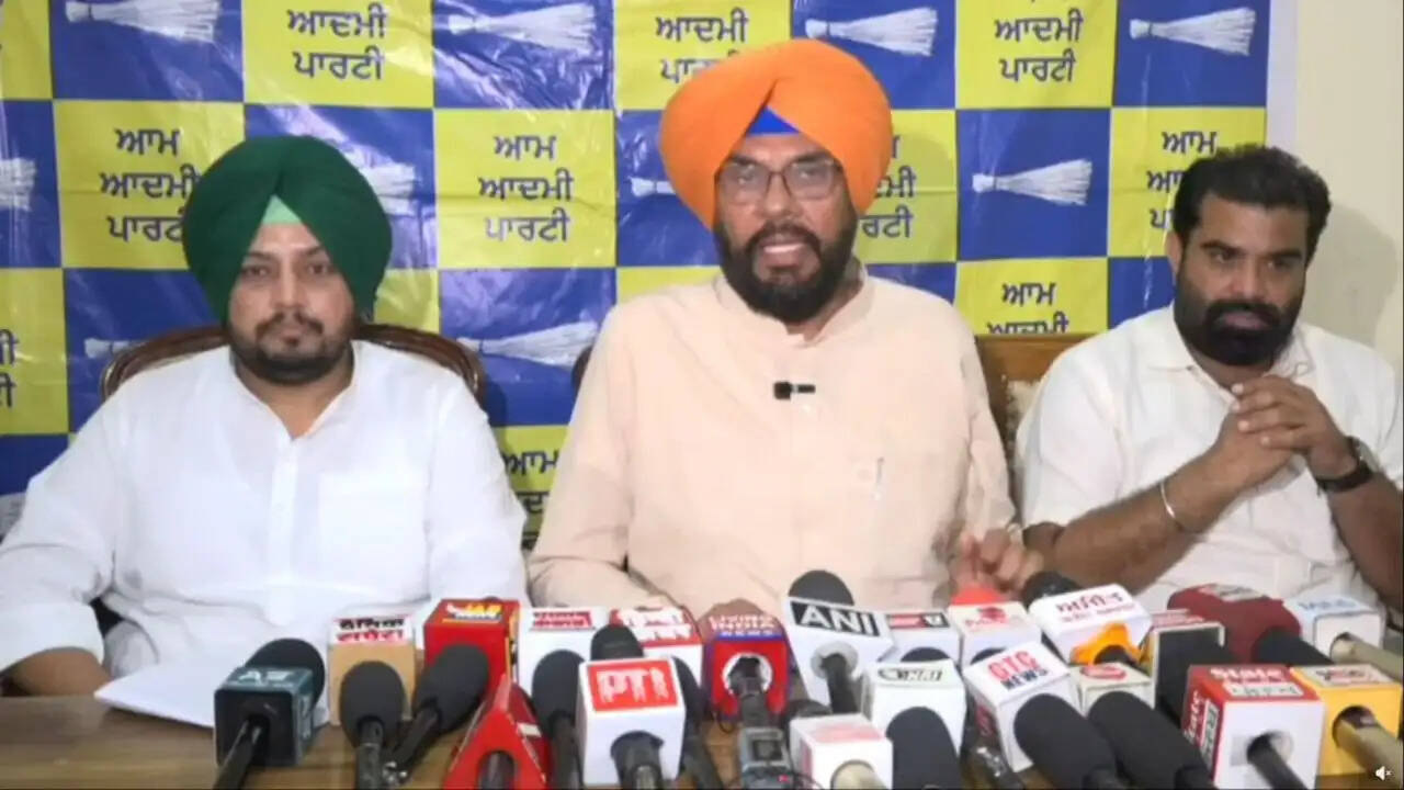 कुलदीप सिंह धालीवाल ने पंजाब सरकार की उपलब्धियों का किया बखान, महिलाओं के लिए नई योजना की घोषणा