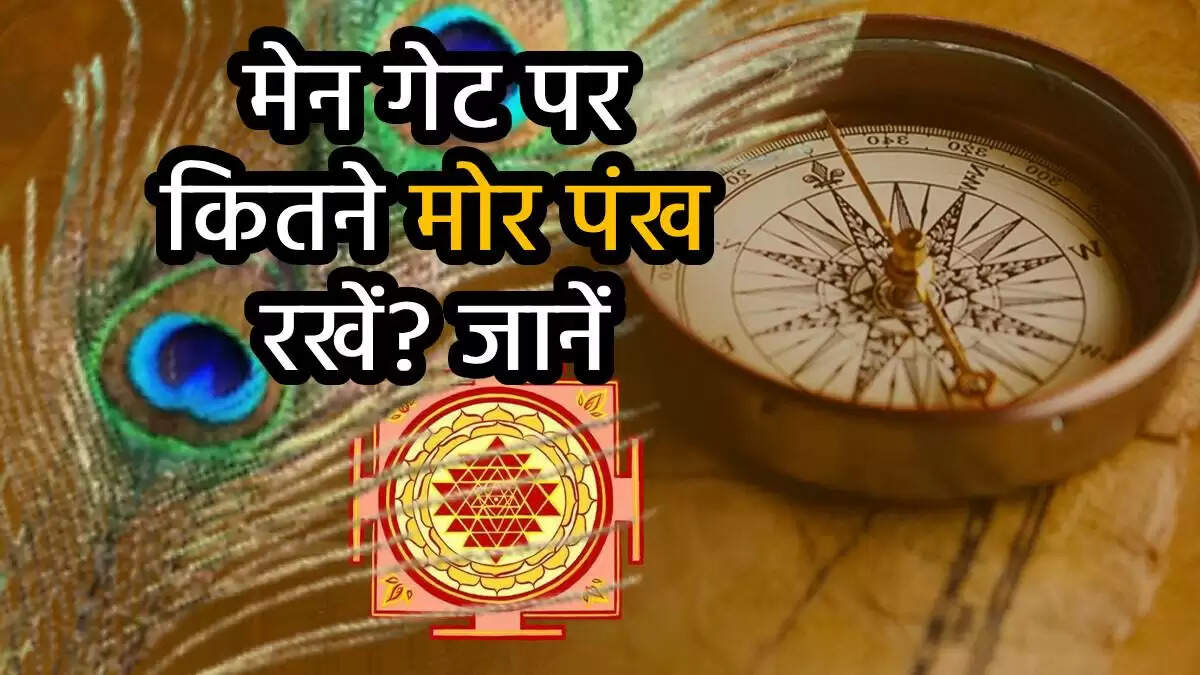 वास्तु शास्त्र के अनुसार घर के मेन गेट पर मोर पंख रखने के लाभ