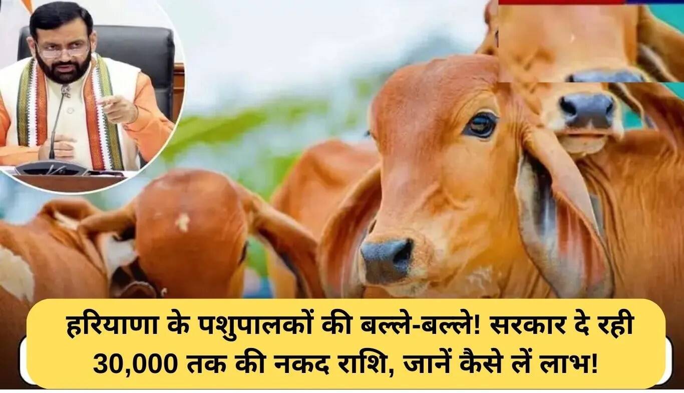 हरियाणा पशुपालन योजना: किसानों के लिए 30,000 रुपये तक की नकद सहायता