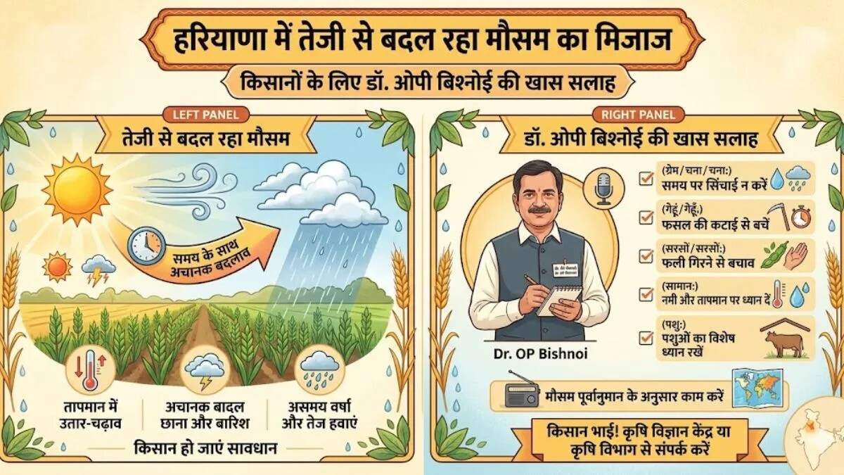 हरियाणा में बढ़ती गर्मी से किसानों को खतरा, मौसम विभाग ने जारी किया अलर्ट