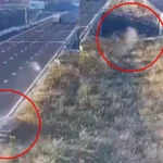 दिल्ली-मुंबई एक्सप्रेसवे पर सड़क हादसे में पांच की मौत