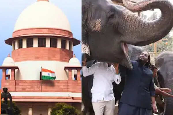 सुप्रीम कोर्ट ने वन्य जीव केंद्र वंतारा को दी क्लीन चिट