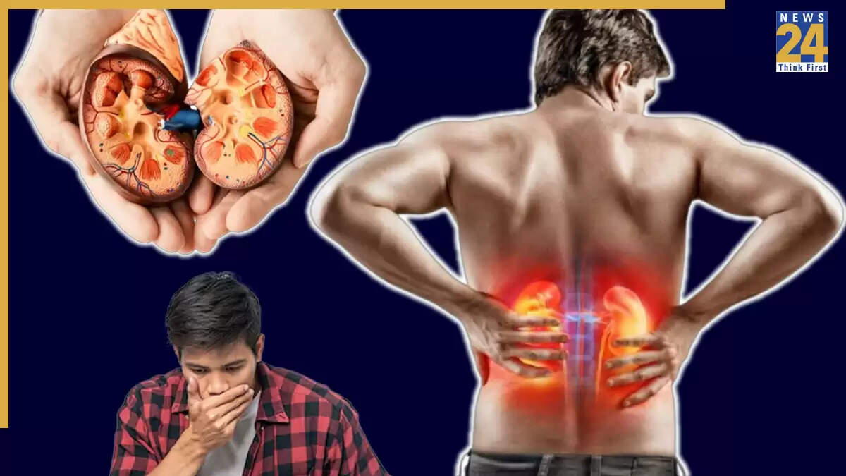 किडनी डैमेज के संकेत: पेट और पसलियों के दर्द पर ध्यान दें