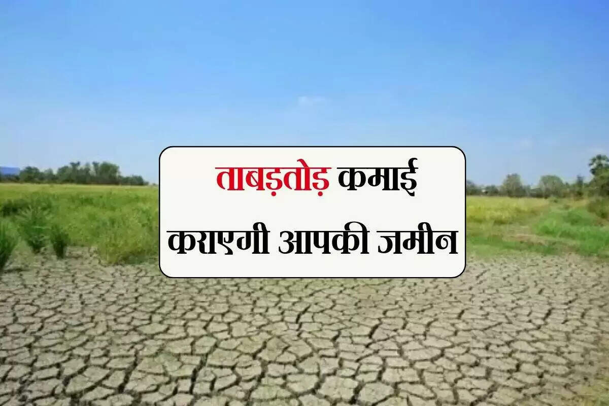 बिहार में बंजर जमीन का लाभ: मुख्यमंत्री चौर विकास योजना