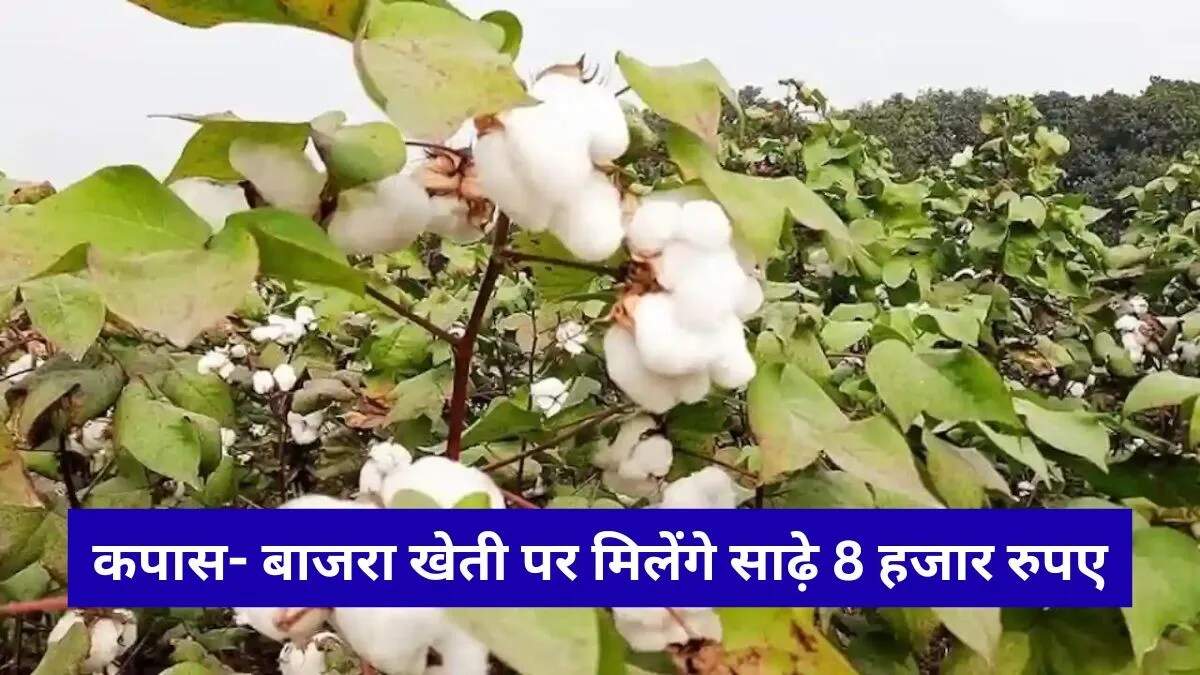 हरियाणा के किसानों के लिए नई फसल योजना: जानें लाभ और पंजीकरण प्रक्रिया