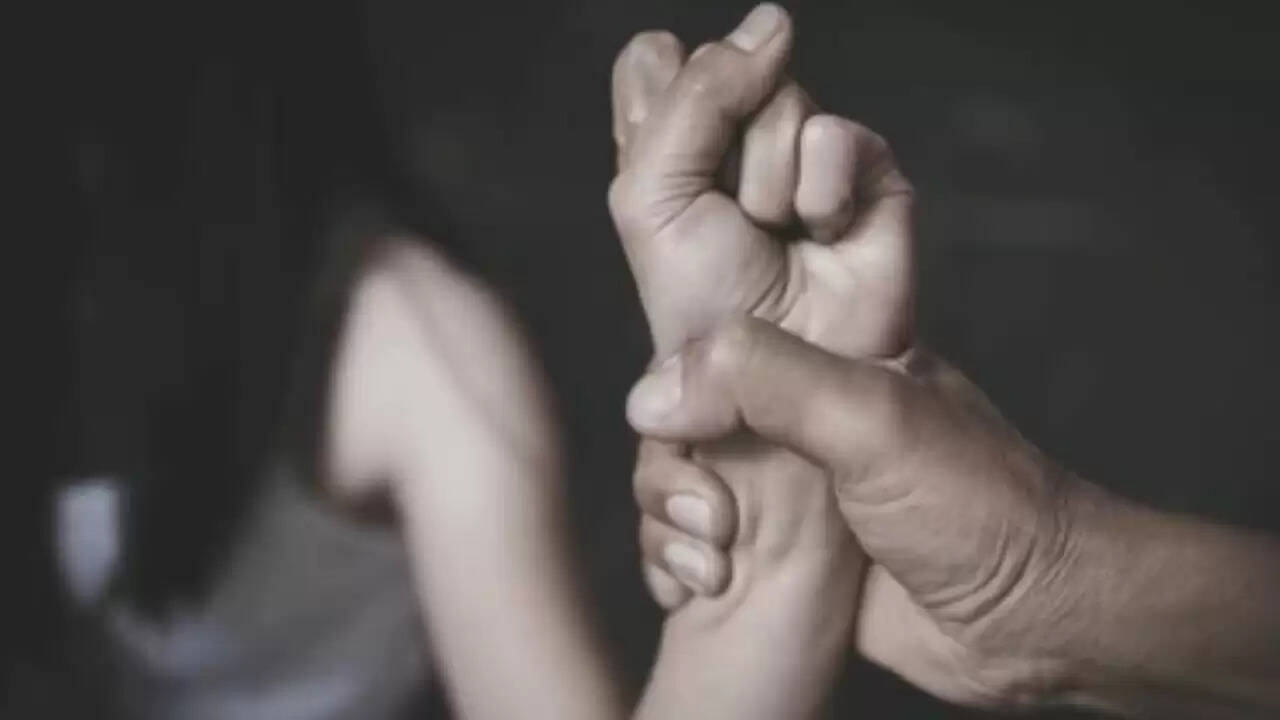 उदयपुर में फ्रांसीसी पर्यटक के साथ बलात्कार का मामला, आरोपी की तलाश जारी