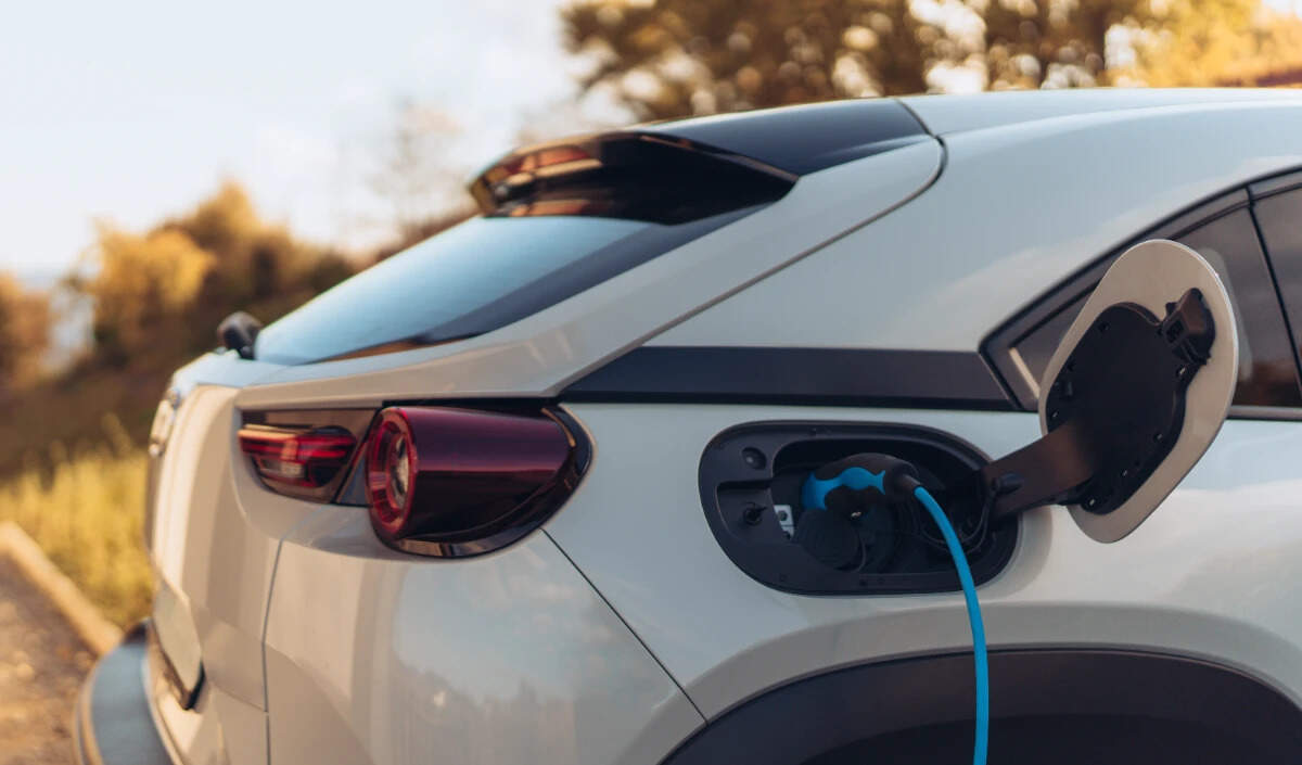 चीन ने भारत की ईवी प्रोत्साहन योजनाओं के खिलाफ WTO में अपील की