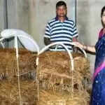 ओडिशा के किसान ने मशरूम खेती के लिए अनोखा रैक तैयार किया