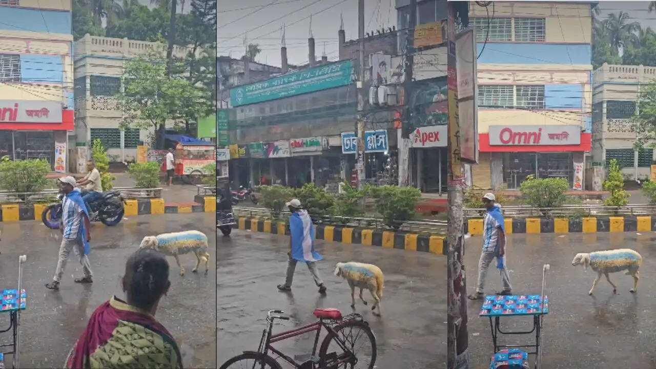 बांग्लादेश में मेसी का जादू: भेड़ भी अर्जेंटीना के रंग में रंगी!
