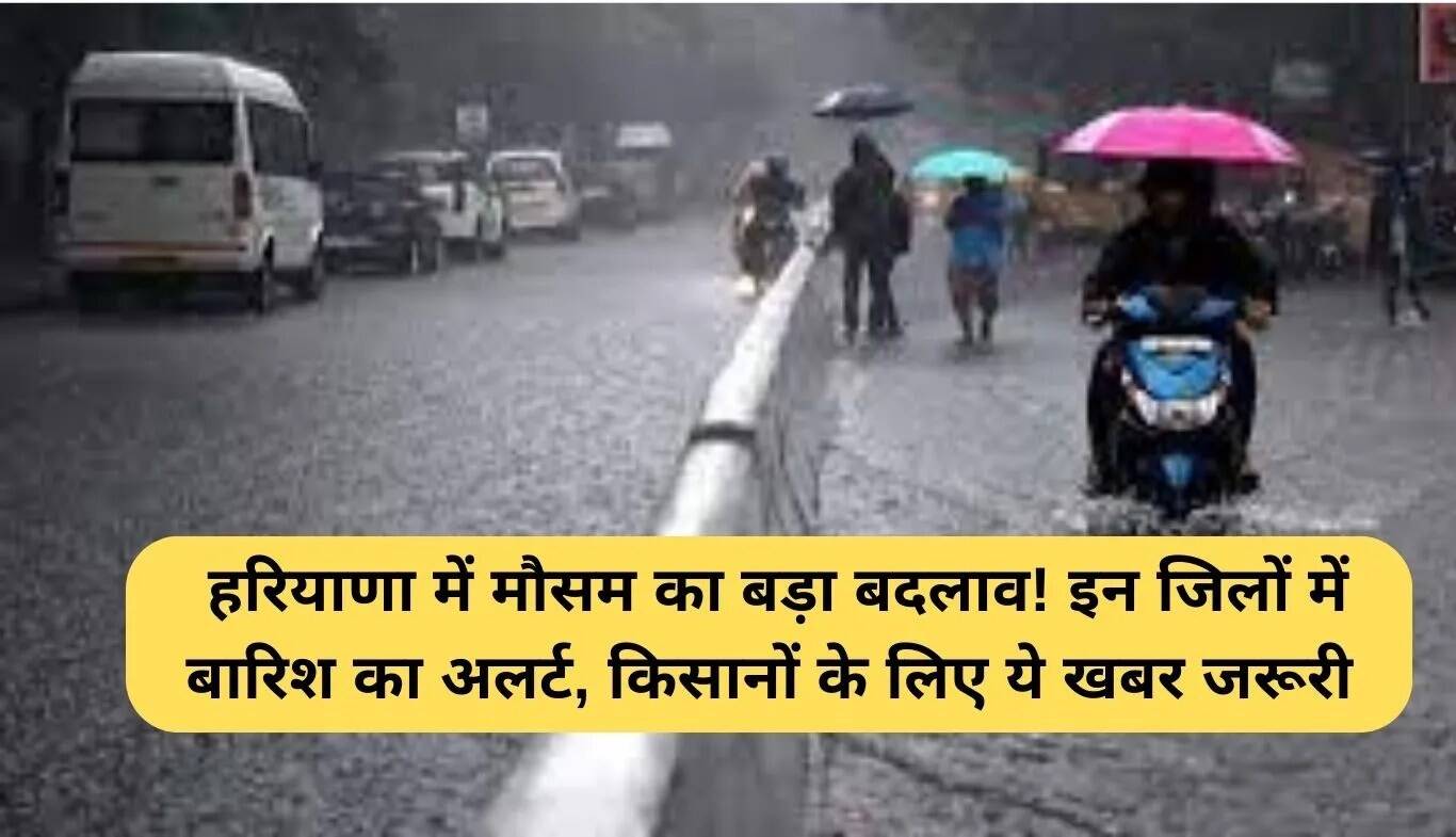 हरियाणा में मौसम में बदलाव: बारिश का अलर्ट, किसानों के लिए महत्वपूर्ण जानकारी