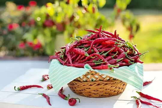 क्या मिर्च खाने से बढ़ती है उम्र? जानें विशेषज्ञों की राय