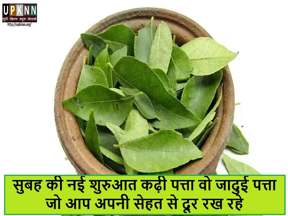 कढ़ी पत्ते के अद्भुत स्वास्थ्य लाभ: जानें कैसे करें इसका उपयोग