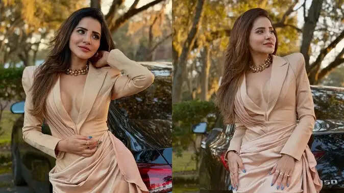 आशु रेड्डी: विवादों में घिरी तेलुगु एक्ट्रेस की कहानी