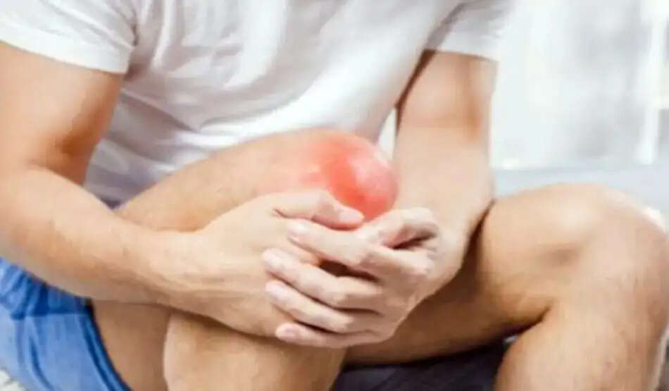 पनीर के स्वास्थ्य लाभ: जानें इसके फायदे और पोषण तत्व