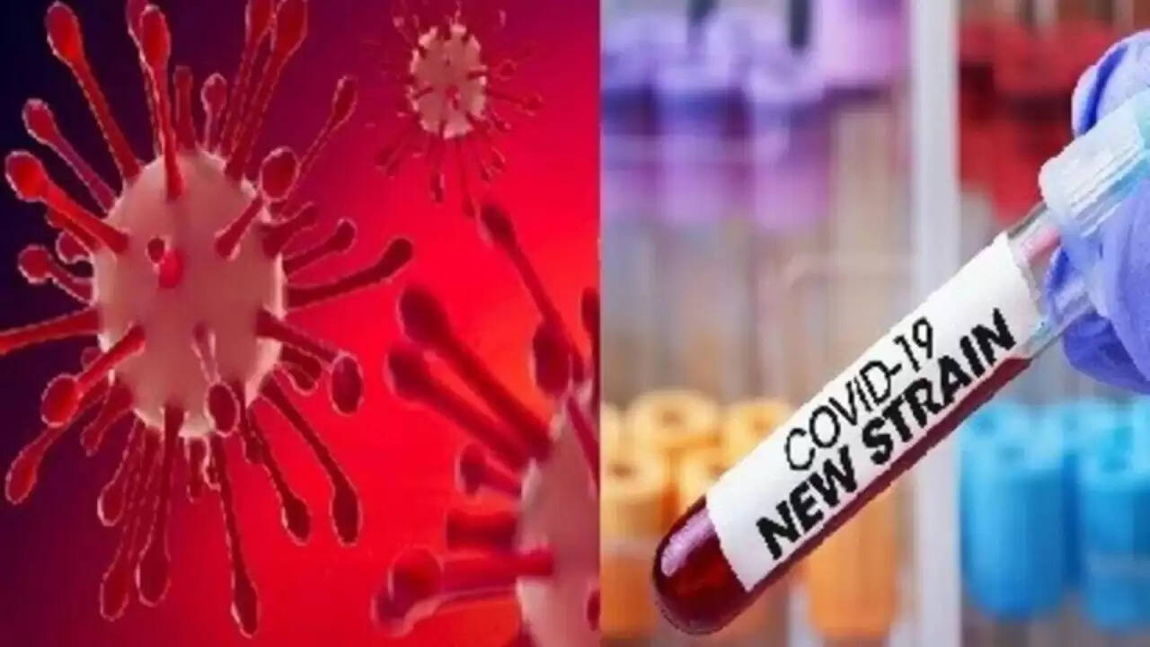 कोरोना वायरस के बढ़ते मामलों के बीच भारत में पांच नई मौतें, सक्रिय केस 4,000 के पार