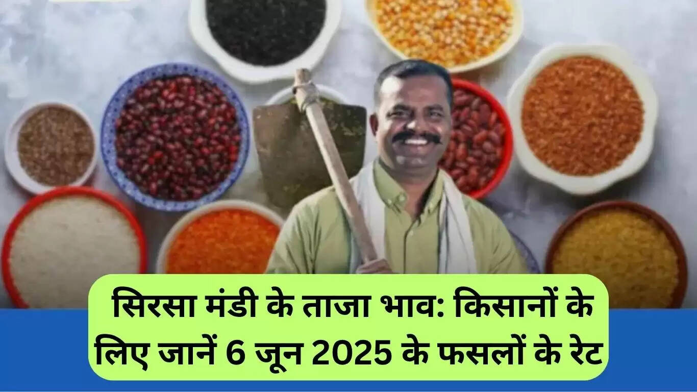सिरसा मंडी के ताजा भाव: 6 जून 2025 के लिए फसलों की कीमतें