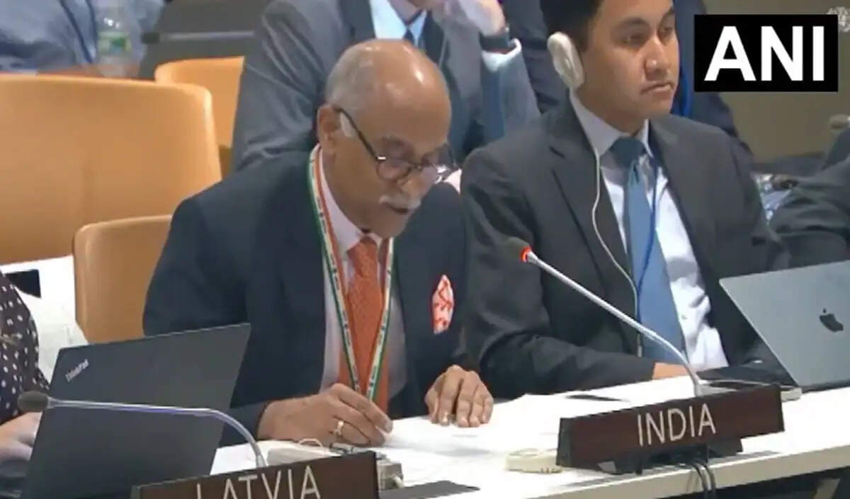 भारत ने UNSC में पाकिस्तान की जम्मू-कश्मीर पर टिप्पणियों की निंदा की