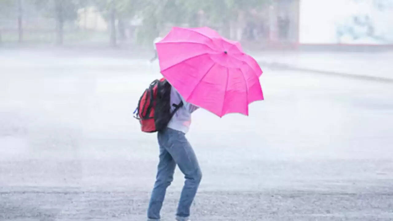 भारत में बारिश का अलर्ट: IMD ने कई राज्यों के लिए जारी की चेतावनी