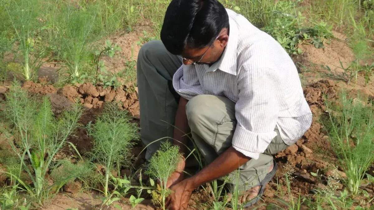 हरियाणा के किसानों के लिए एक्सपोजर टूर योजना का शुभारंभ