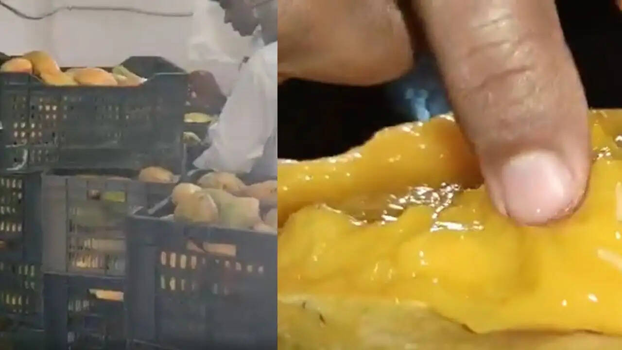 गुजरात में सड़े आमों का जूस: स्वास्थ्य के लिए खतरा