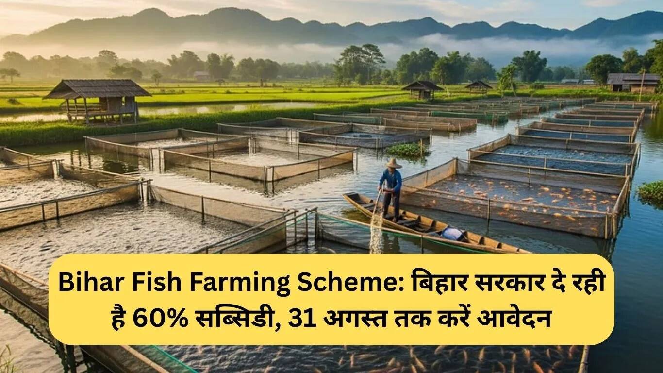 बिहार मछली पालन योजना: 60% सब्सिडी के साथ आवेदन की अंतिम तिथि 31 अगस्त