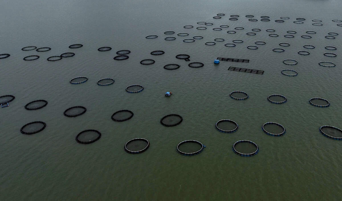 रूस भारत में मछली पालन इकाइयों को मंजूरी देने की तैयारी में