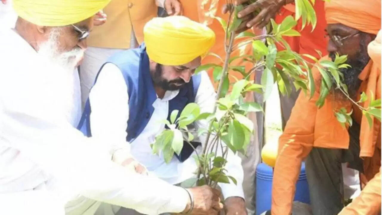 पंजाब में हरियाली की नई शुरुआत: भगवंत मान की सरकार का पर्यावरण संरक्षण अभियान