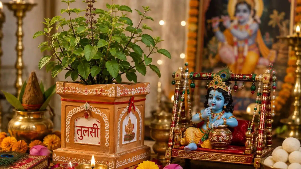 जन्माष्टमी पर तुलसी के साथ करें ये खास उपाय, जानें कैसे लाएं सुख-समृद्धि