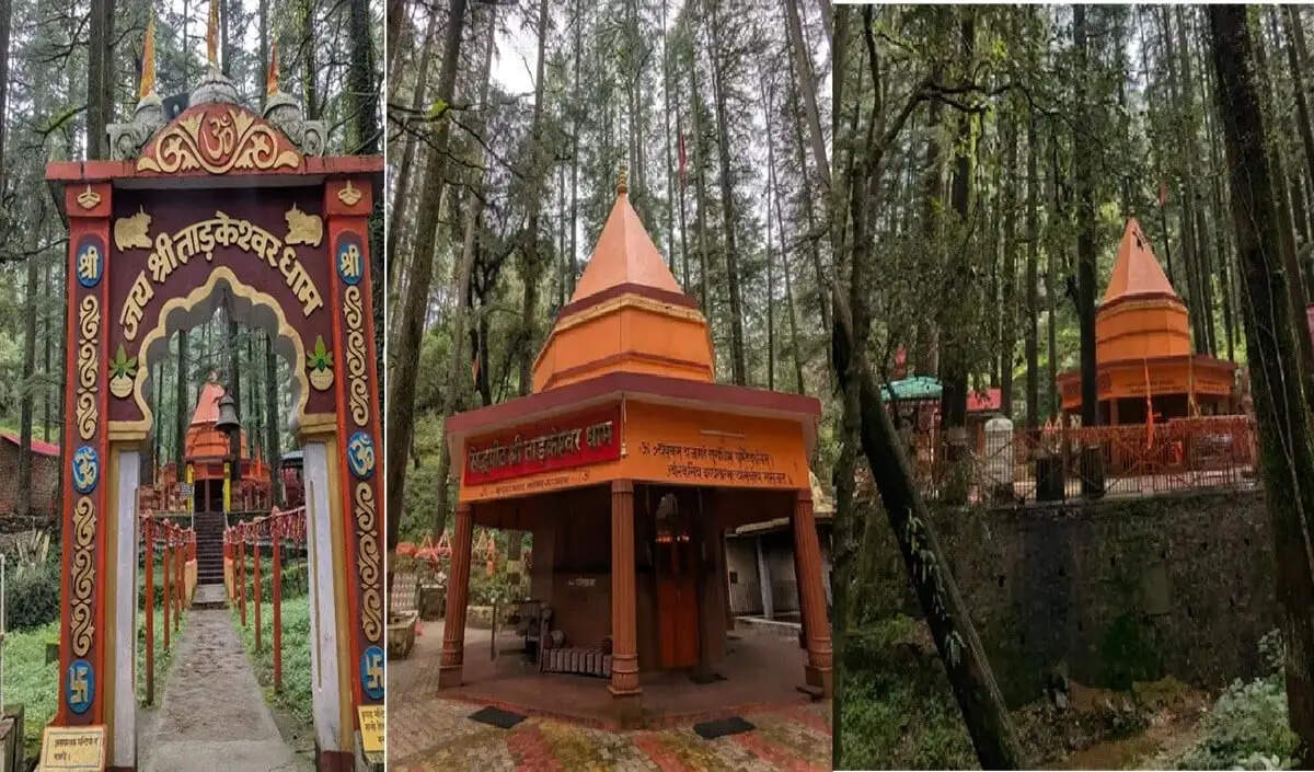 ताड़केश्वर महादेव मंदिर: एक अद्भुत ट्रेकिंग अनुभव