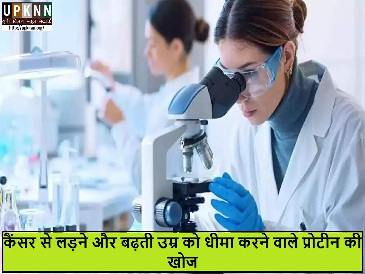 वैज्ञानिकों की नई खोज: कैंसर और उम्र बढ़ने के खिलाफ प्रोटीन की महत्वपूर्ण भूमिका