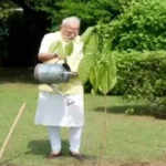 PM मोदी ने किंग चार्ल्स के उपहार के रूप में कदम्ब का पौधा लगाया