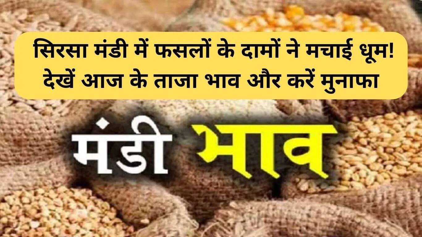 सिरसा मंडी में फसलों के दामों में उछाल: जानें ताजा कीमतें
