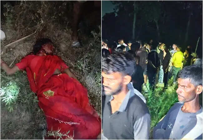 लखीमपुर खीरी में तेंदुए के हमले से महिला की मौत