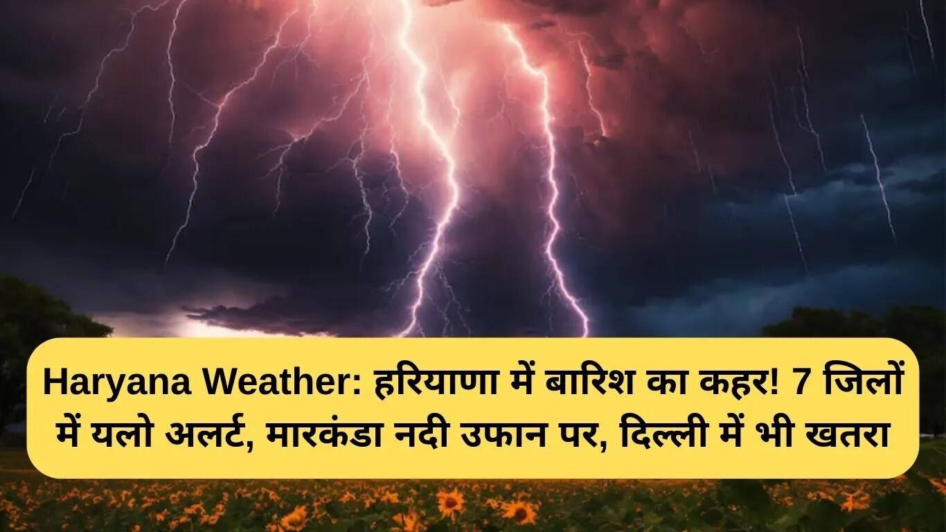 हरियाणा में बारिश का कहर: 7 जिलों में येलो अलर्ट, दिल्ली में भी खतरा