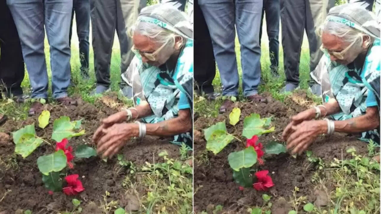 छत्तीसगढ़ में बुजुर्ग महिला का दर्द: पीपल के पेड़ के कटने पर गांव में मचा हंगामा