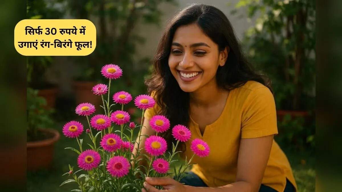 30 रुपये में घर को सजाने के लिए रंग-बिरंगे फूलों के बीज