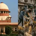 सुप्रीम कोर्ट का आदेश: अवारा कुत्तों को सार्वजनिक स्थलों से हटाने का निर्देश