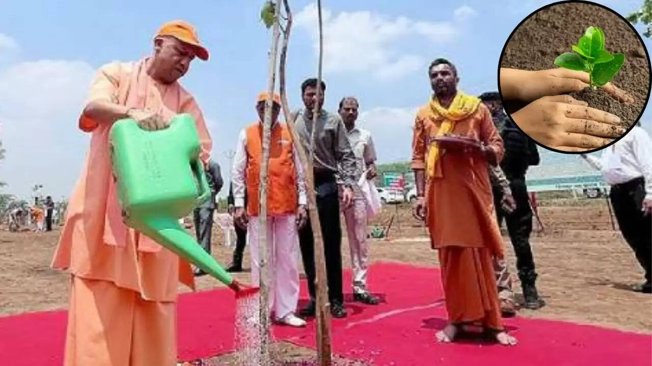 उत्तर प्रदेश में 37 करोड़ पौधों का रोपण: 'एक पेड़ मां के नाम 2.0' अभियान