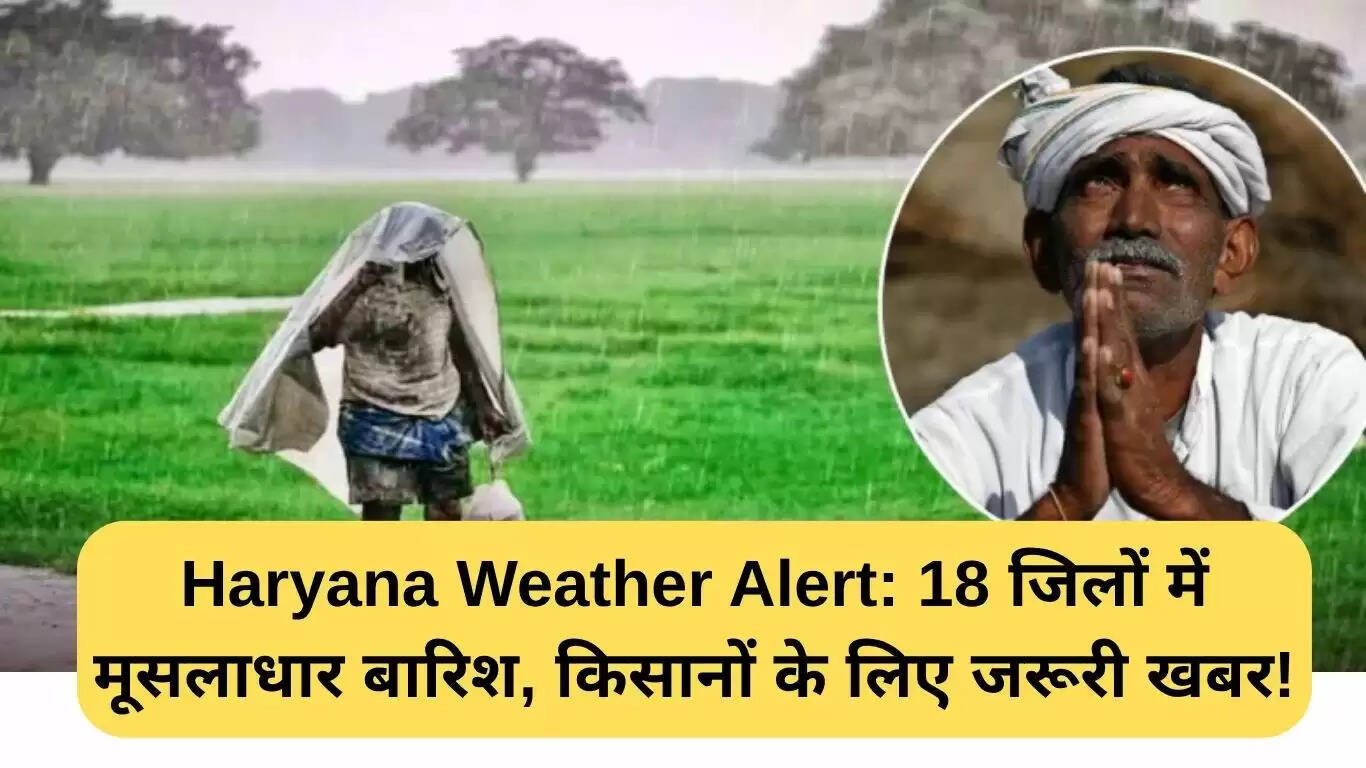 हरियाणा में बारिश का अलर्ट: 18 जिलों में मूसलधार बारिश की चेतावनी