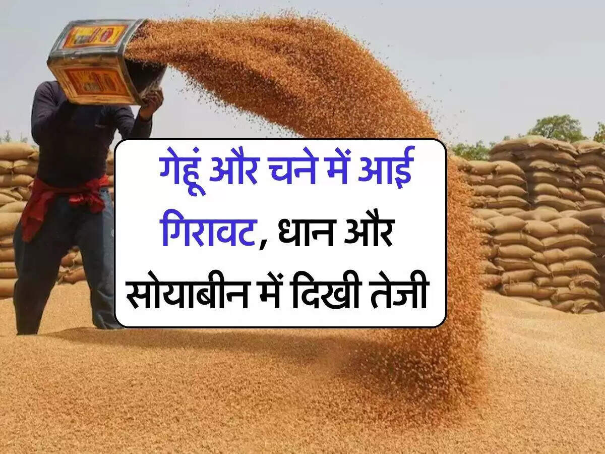 फसलों की कीमतों में उतार-चढ़ाव: मंडियों में ताजा भाव